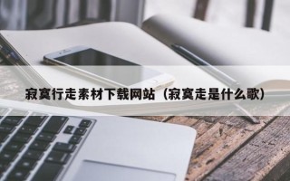 宜宾寂寞行走素材下载网站（寂寞走是什么歌）